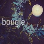 12917905_201683543555875_1878168785_a