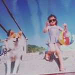 12783494_576529615847880_1457382383_a