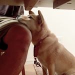 12519356_1701452850121434_1956123268_a