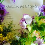 12750014_529858973842219_379342974_a