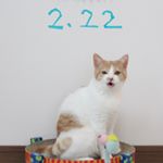 12965663_1696240497296282_14877216_a