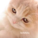 12747798_1150182248336929_1109062764_a