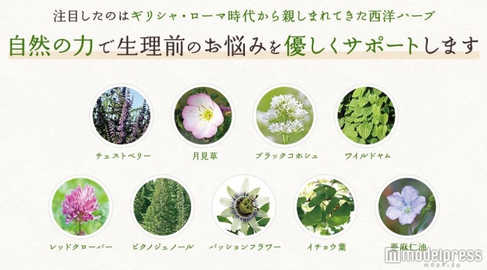 「チェストベリー」「月見草オイル」など9つのハーブで生理前の辛さをサポート