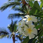 11417460_1606324906322746_1924309232_a