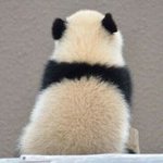 10655109_365421753611571_1276826509_a