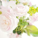 12534609_234833480190116_1028247130_a