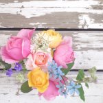 11325787_1458686601108383_864657469_a