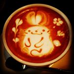 12825839_247162248953770_1119102810_a