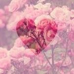 12558708_1747751715454097_1319484639_a