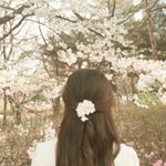 12940848_1790027607894484_860878660_a