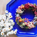 12934955_1521706401470551_612820025_a