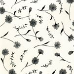 12237619_996349537095411_846423567_a