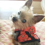 1517181_1464494360518105_1268989602_a