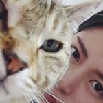 12905086_373670616136700_2035018349_a