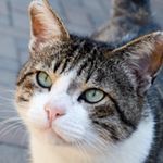 10953743_829575820489719_183032467_a