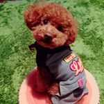 12383688_1721970194709721_974646924_a