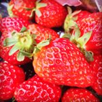 12383350_1031725893588080_798001133_a