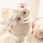 12237346_439428196259235_1497855948_a