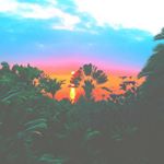 12534400_1643033012630228_301824719_a