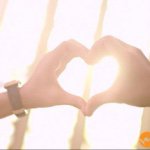 11377994_953324234698869_384428937_a