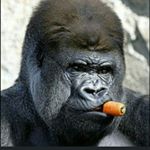 12729430_1080037615382293_1822828943_a