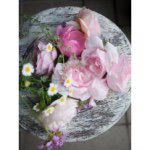 11348374_1605725859665620_1307075467_a