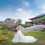 12818880_1035668466471490_1356139245_a