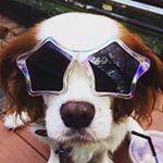 12141897_1722956804591907_1040085508_a