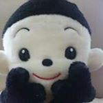 11419144_1648870622000926_530573059_a