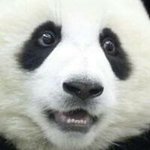 11351053_1592895867654728_32101454_a