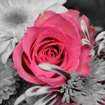 12063125_966894226716547_190745439_a