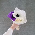 12328274_1574780356168484_1956826732_a