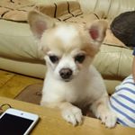 11378162_1875200916037525_316123492_a