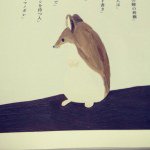 11375366_1654939378077158_915424059_a