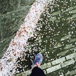 12930864_540402242798034_1131616700_a