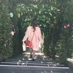 12353180_245519325791860_271779159_a