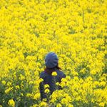 10817996_1724949187753052_486471370_a