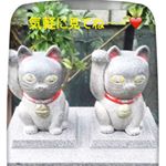 12783937_238283549843754_1776270792_a