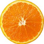 11262866_745832728896711_693914713_a