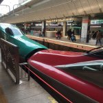 11348413_959690914082578_705418543_a