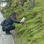 1516928_206645073011077_185602829_a