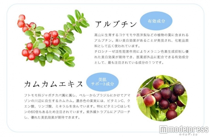 「アルブチン」がメラニン色素生成を抑制し、「カムカムエキス」が美肌をサポートしてくれる