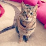 11201572_987142914670262_467447954_a