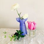 12530713_1252635351418378_1023060363_a