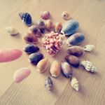 927055_1669762113272979_31601583_a