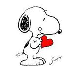 10731752_480644082060748_515421154_a