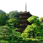 10665449_292364087633932_733858596_a