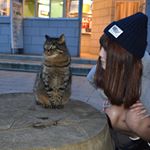 12519090_1751586825127838_1781708420_a