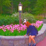 12917866_553711234808634_964104080_a