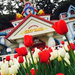 12976186_1708411012752072_446922267_a